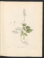  no thumbnail available