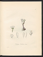  no thumbnail available