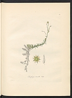  no thumbnail available