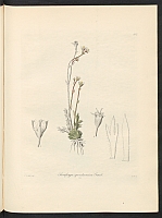  no thumbnail available