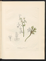  no thumbnail available