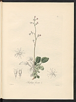  no thumbnail available