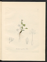  no thumbnail available