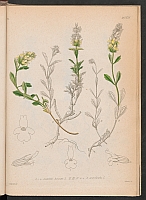  no thumbnail available