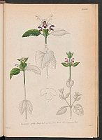  no thumbnail available