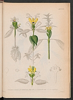  no thumbnail available