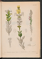  no thumbnail available