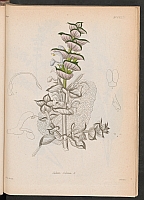  no thumbnail available