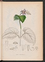  no thumbnail available