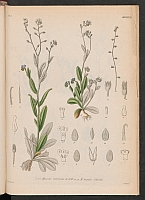  no thumbnail available