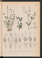  no thumbnail available