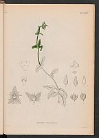  no thumbnail available