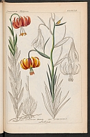  no thumbnail available