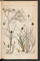  no thumbnail available