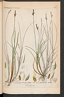  no thumbnail available