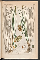  no thumbnail available