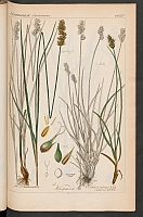  no thumbnail available