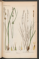  no thumbnail available