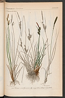  no thumbnail available