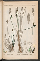  no thumbnail available