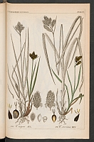  no thumbnail available