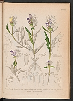  no thumbnail available