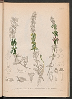  no thumbnail available