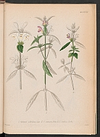  no thumbnail available