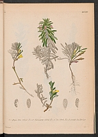  no thumbnail available