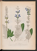  no thumbnail available