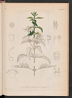  no thumbnail available