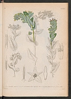  no thumbnail available