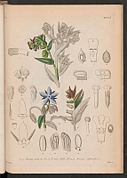  no thumbnail available