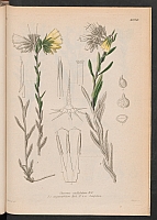  no thumbnail available