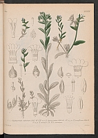  no thumbnail available