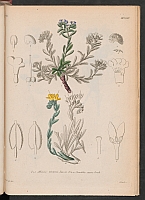  no thumbnail available