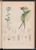  no thumbnail available