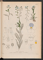  no thumbnail available