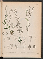  no thumbnail available