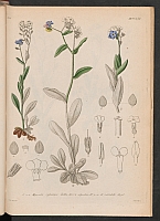  no thumbnail available