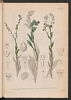  no thumbnail available