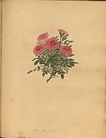  no thumbnail available