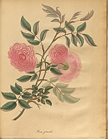  no thumbnail available