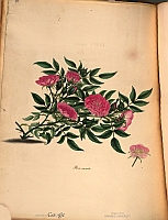  no thumbnail available