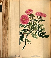  no thumbnail available