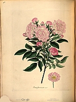  no thumbnail available