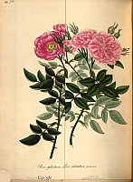  no thumbnail available