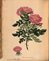  no thumbnail available