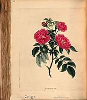  no thumbnail available