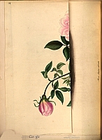  no thumbnail available